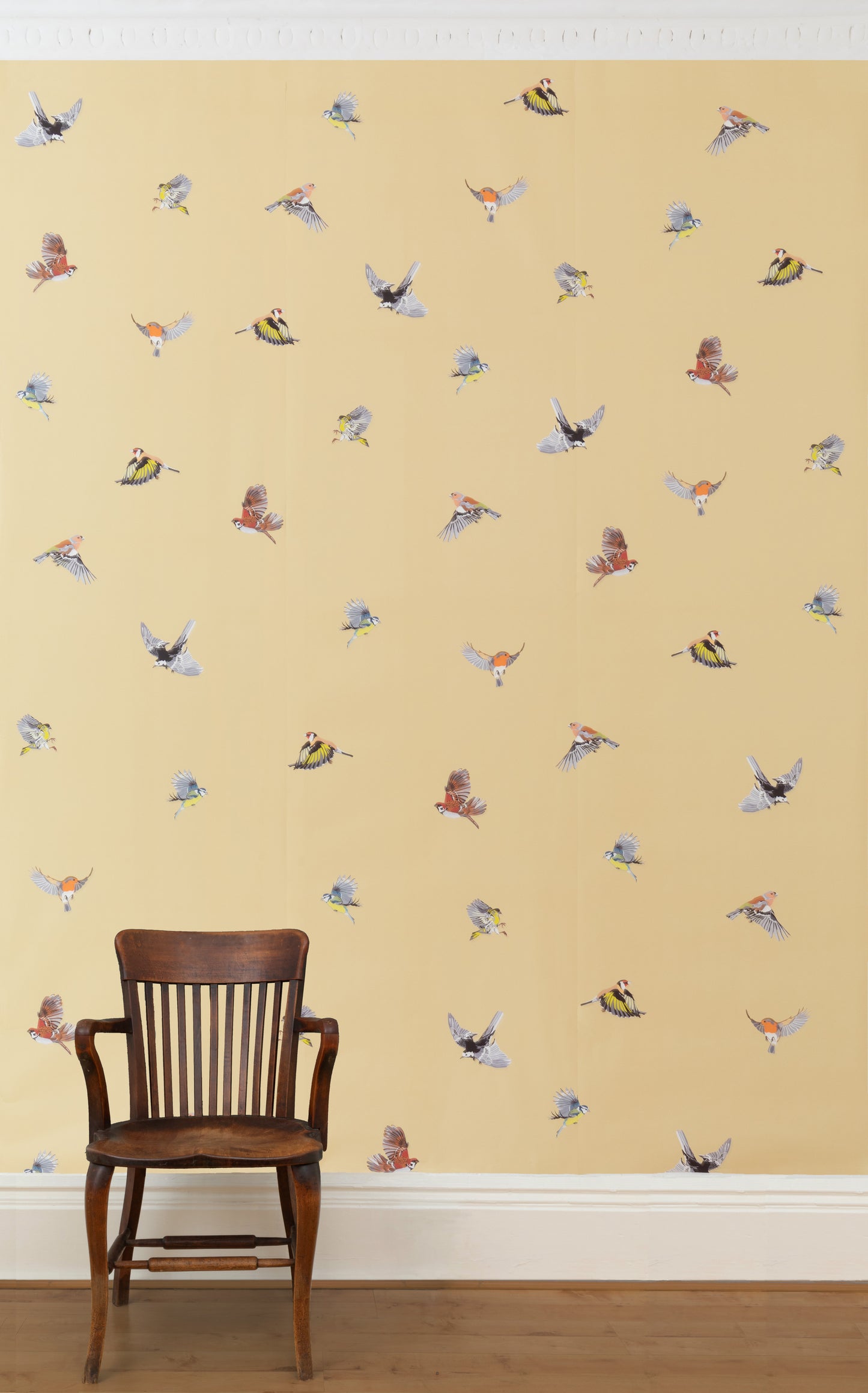 Small British Birds - Primrose