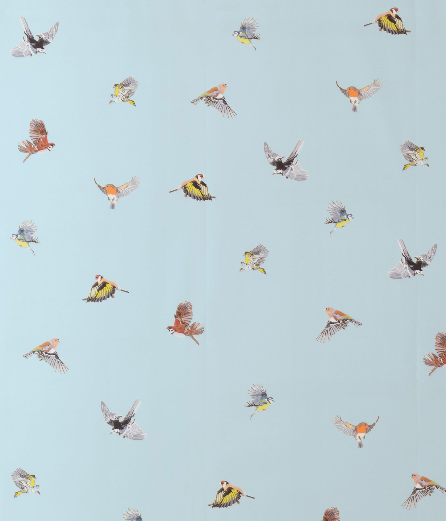 Small British Birds - Palest Blue