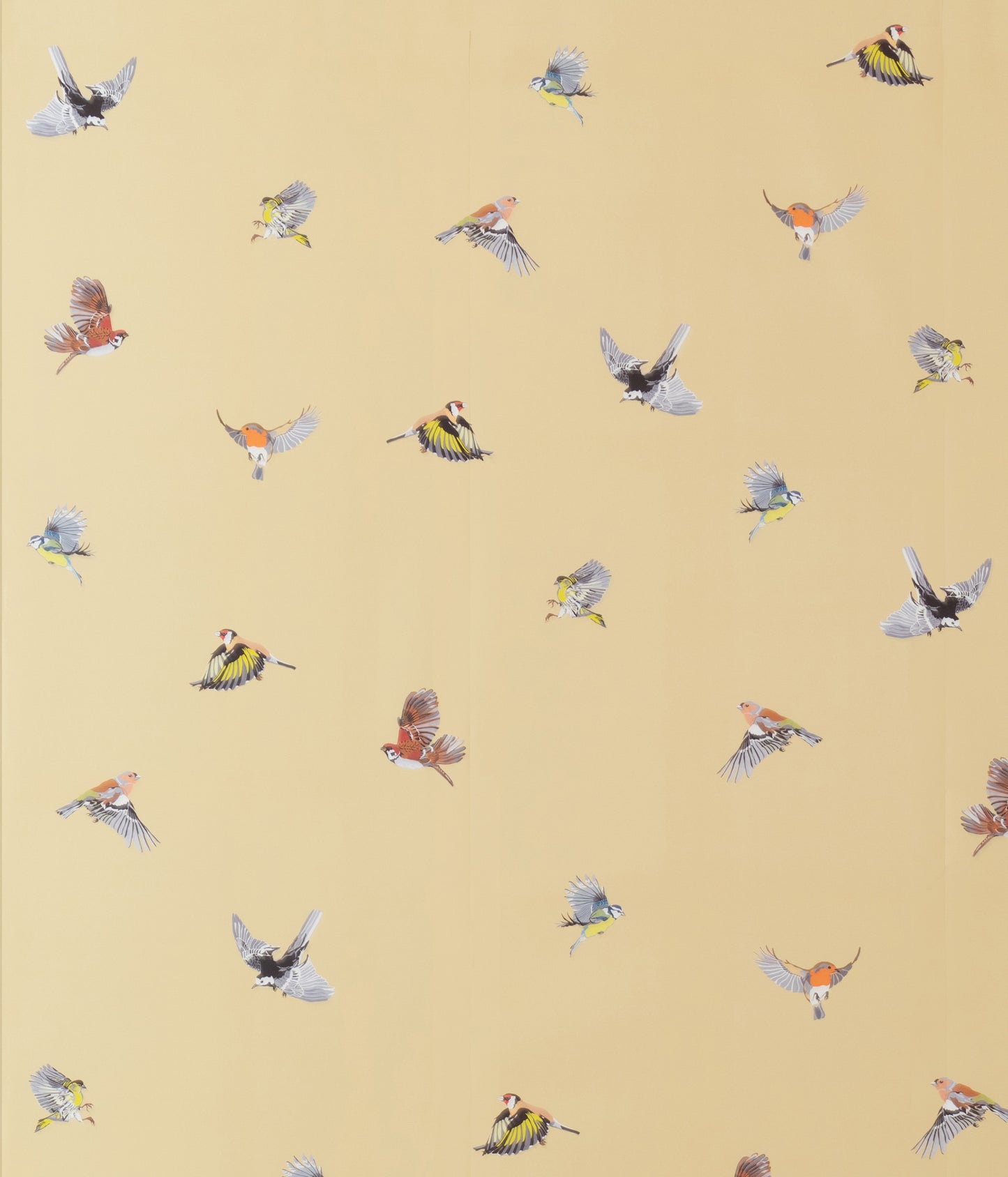 Small British Birds - Primrose