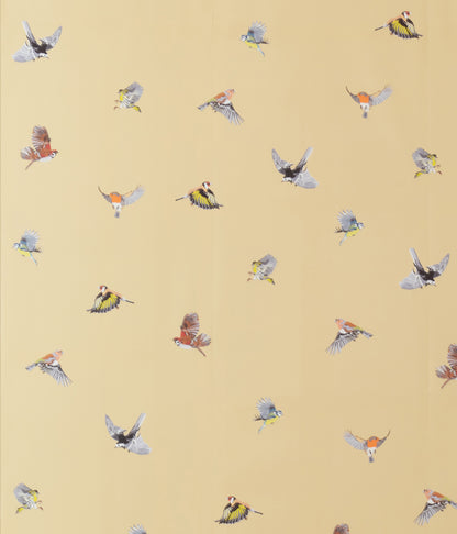 Small British Birds - Primrose