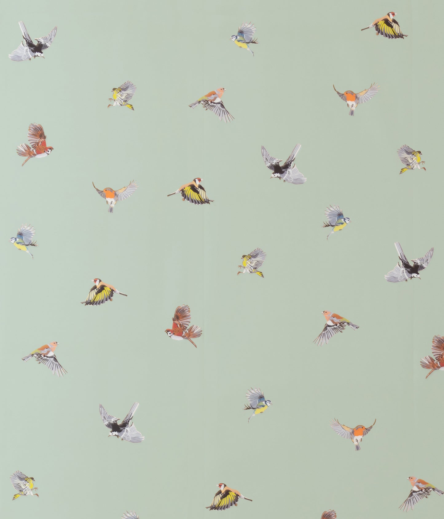 Small British Birds - Sage
