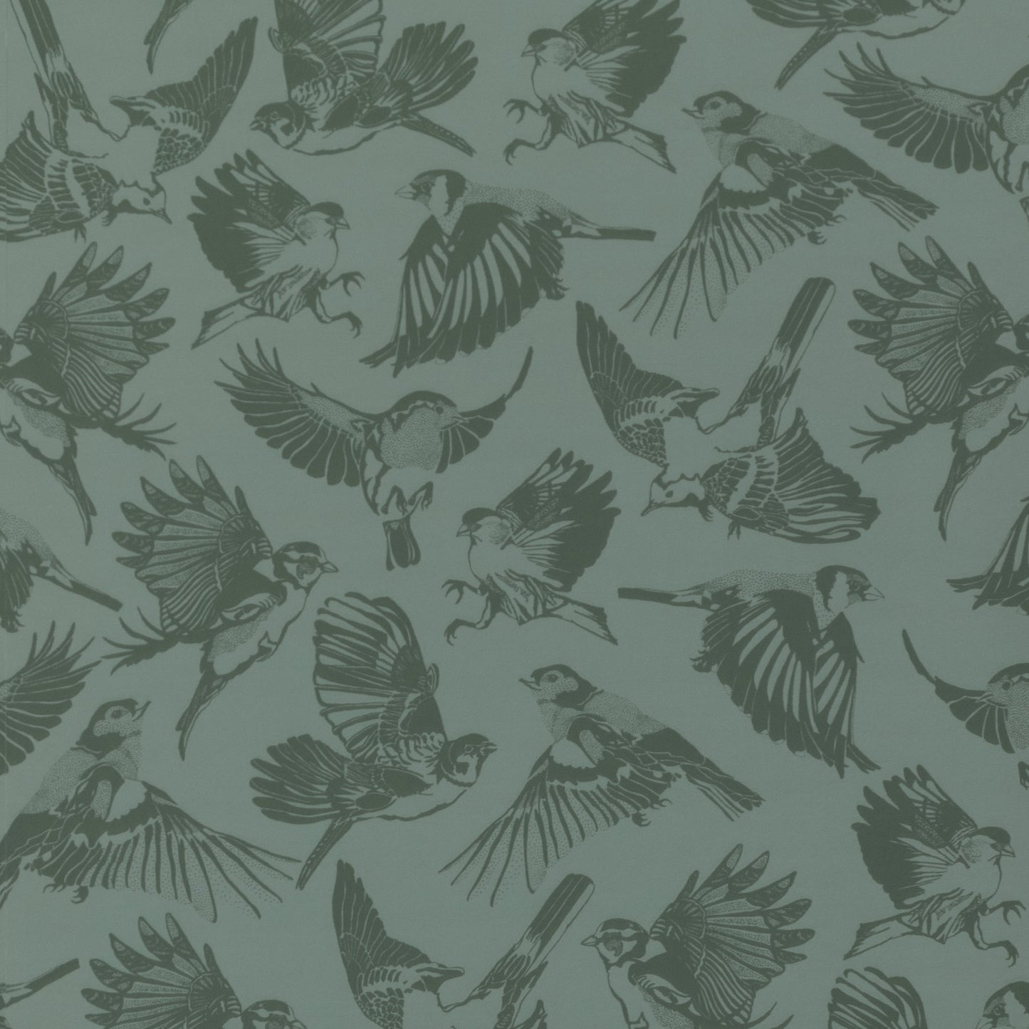 Green Birds - Library Green