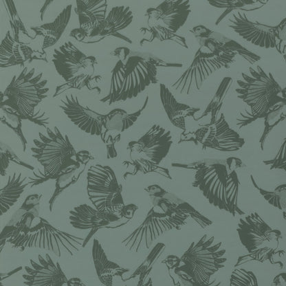 Green Birds - Library Green