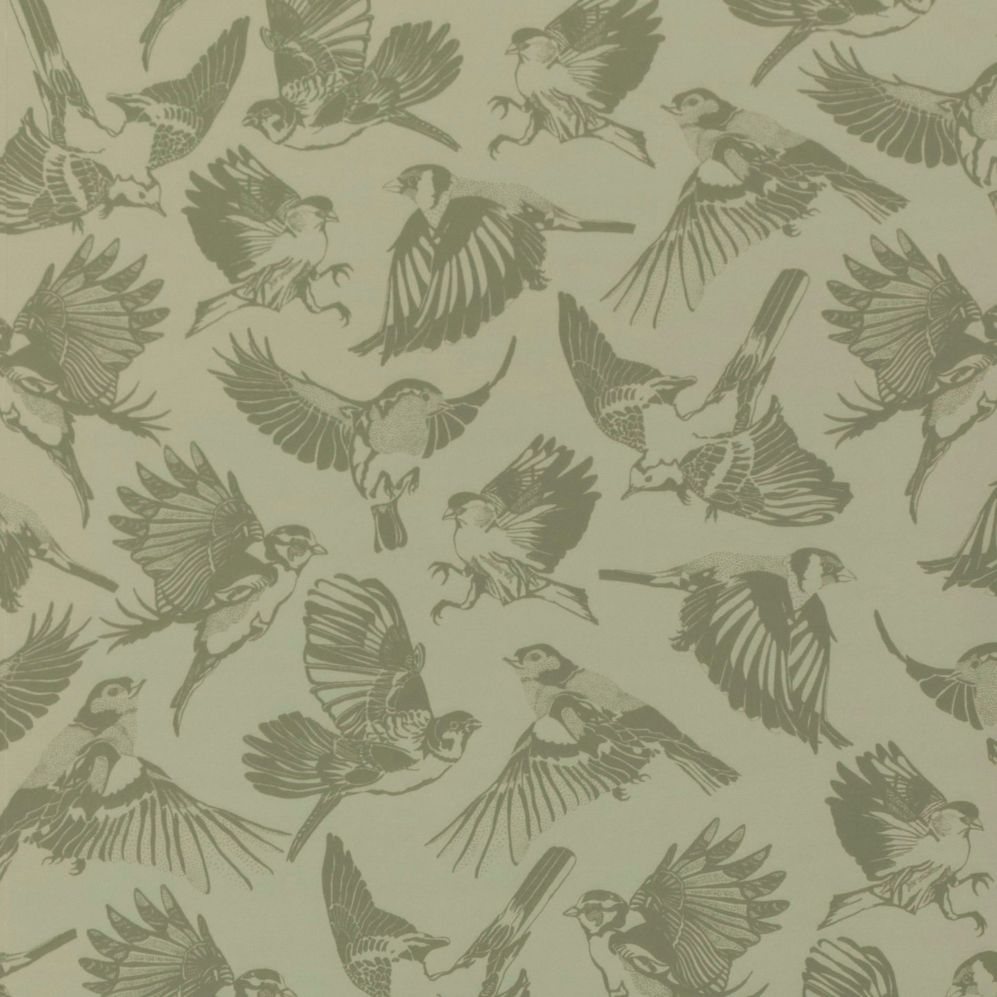 Green Birds - Olive